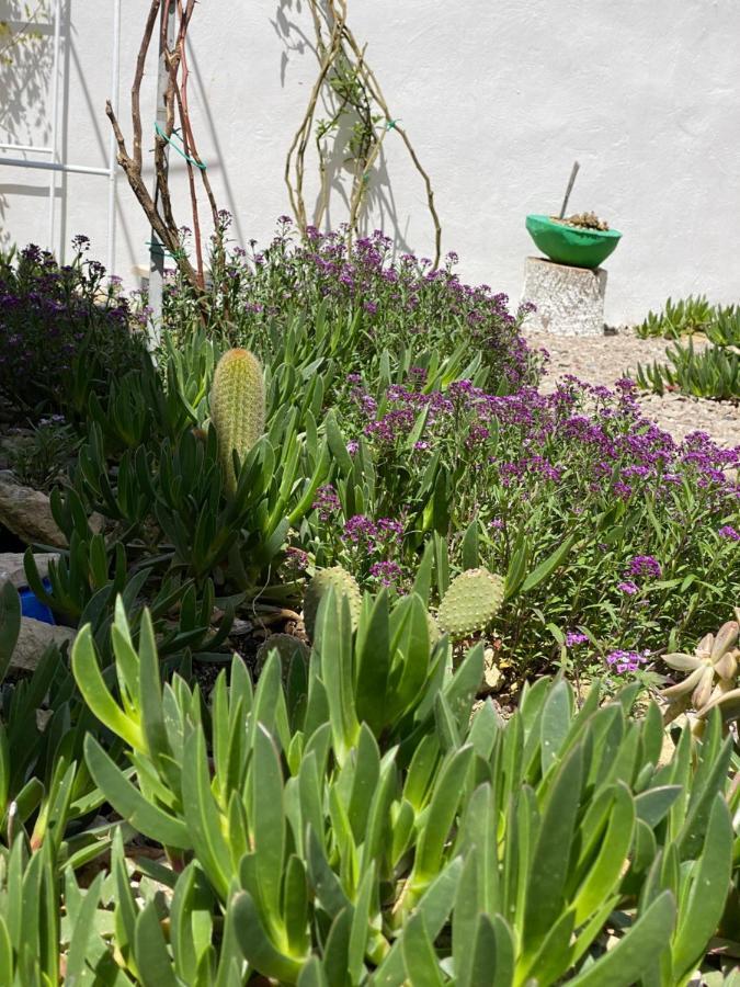 La Casa Di Nina Bed & Breakfast Lecce Luaran gambar