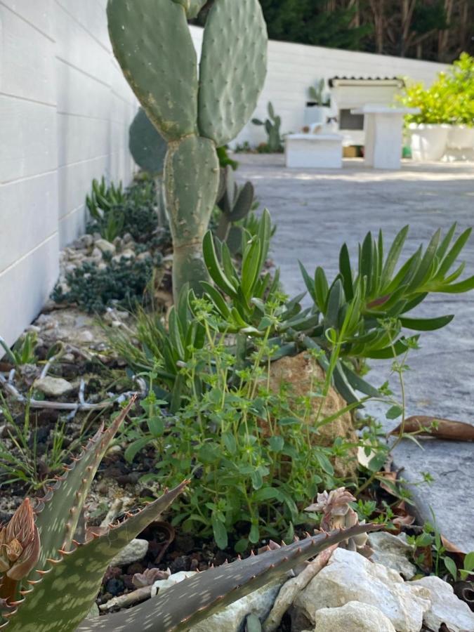 La Casa Di Nina Bed & Breakfast Lecce Luaran gambar
