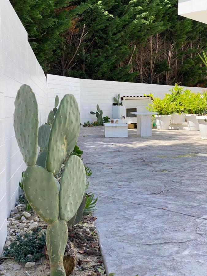 La Casa Di Nina Bed & Breakfast Lecce Luaran gambar